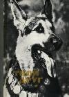 Твой друг (Сборник по собаководству, 1973 г.) java книга, скачать бесплатно