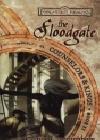 The Floodgate java книга, скачать бесплатно