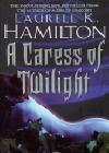 A Caress Of Twilight java книга, скачать бесплатно
