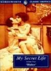 My Secret Life java книга, скачать бесплатно